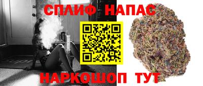 дурь Ставрополь
