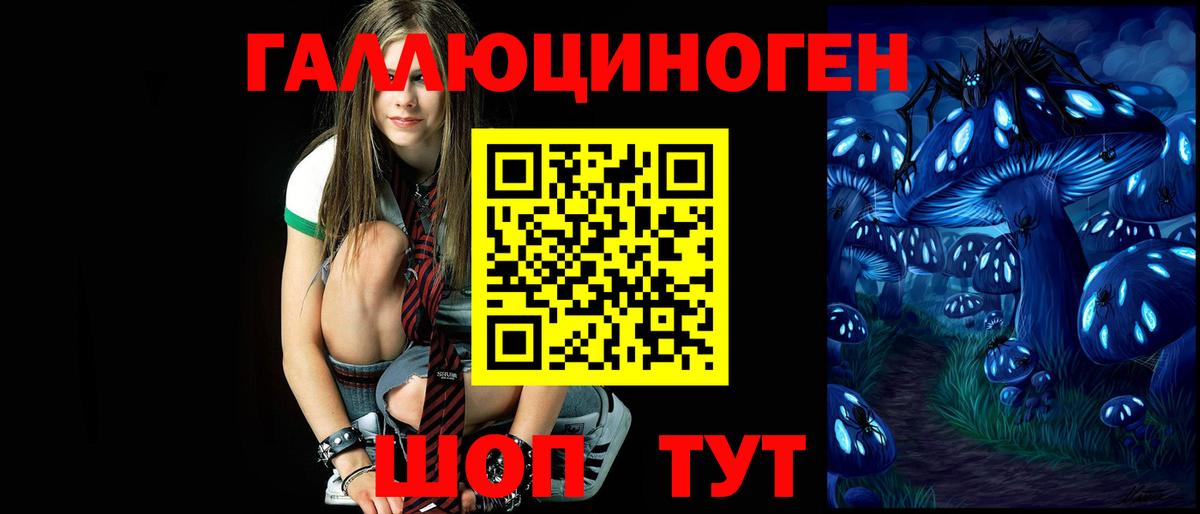 Псилоцибиновые грибы GOLDEN TEACHER  Галлюциногенные грибы Cubensis  Вход с VPN  Отрадное 