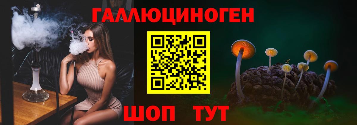 Галлюциногенные грибы MAGIC MUSHROOMS Отрадное